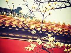 -东华门大街小区