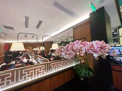 -新白鹿餐厅(松江开元地中海店)