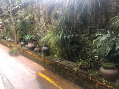 -青城甲(青城山店)