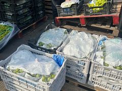 -南京众彩农副产品配送有限公司