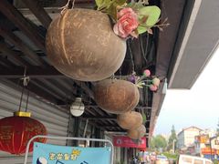-志龙皇冠吃货椰子铺