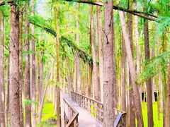 -青山湖景区