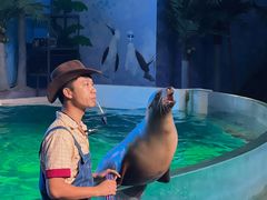 -三亚海昌梦幻海洋不夜城