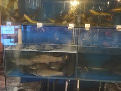 水产区-小俩口烧烤东北菜(双井店)