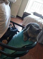 -Miss·A日式美甲美睫