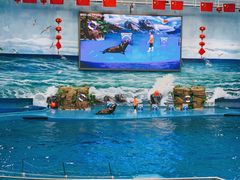 -多彩贵州城极地海洋世界