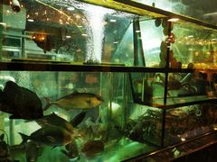 -叙亨轩海鲜火锅