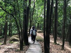 -火炉山森林公园