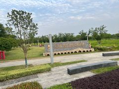-澹台湖公园