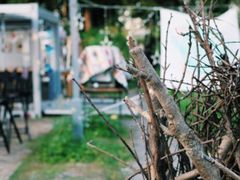 -前小桔亲子创意农场·草莓采摘·露营烧烤