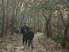 -南北湖风景区