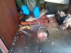 -梅记大块头爆鱼店(乍浦路店)