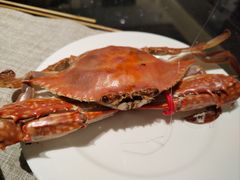 -东方红海鲜百汇(国际大厦店)