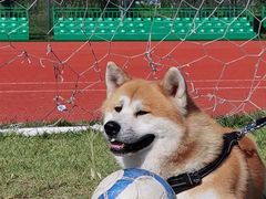 -瀛海足球主题公园