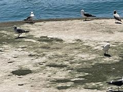 -星海广场