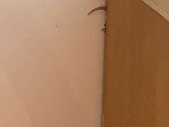 -三亚海棠湾喜来登度假酒店