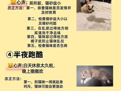 -佩兹宠物医院肿瘤专科·眼科·牙科(黄浦店)