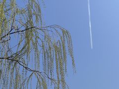 -水西公园