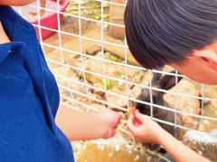 -昆明春城湖畔度假村