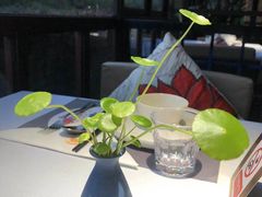 -野蔓果·山野菜(西湖景区·龙井茶田店)