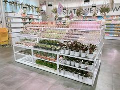 -KKV(深圳宏发大仟里店)