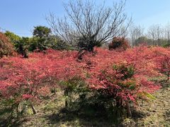 -嘉北郊野公园