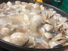 -顺德哥卜卜贝(旗舰店)