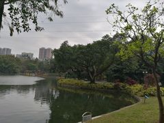 -晓港公园