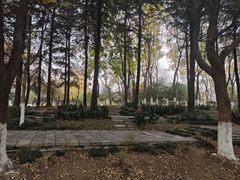 -月湖风景区