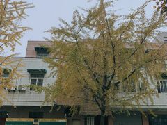 -四川大学(望江校区)
