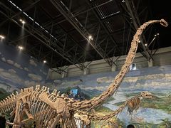 -自贡恐龙博物馆