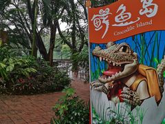 -广州长隆飞鸟乐园