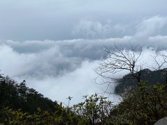 -庐山风景区花径公园