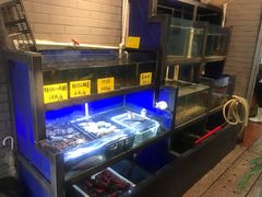 水产区-盈田盈粥庄(博山东路店)