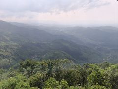 -紫鹊界梯田景区