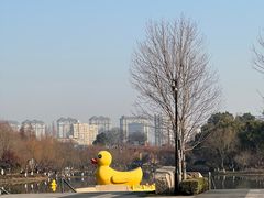 -青枫公园