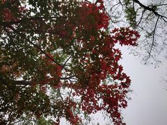 -北宫国家森林公园