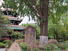 -望江楼公园
