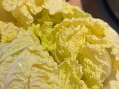 -掂档潮汕牛肉火锅(沈阳万象城店)