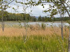 -野鸭湖国家湿地公园