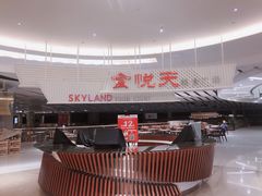 -食悦天美食广场(沈阳青年大街万象城店)