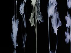 -时代美术馆-成都馆