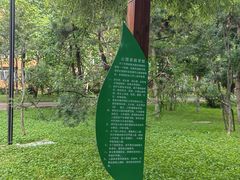-黛秀湖公园