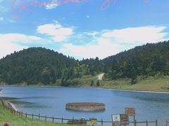 -武陵山森林公园