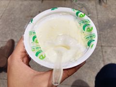 -德禄酸奶(莫家街店)