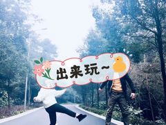 -铁山坪森林公园