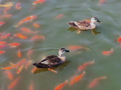 -前关湿地公园