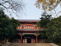 -灵谷景区
