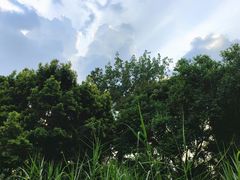 -成都市活水公园