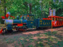 -上海共青森林公园